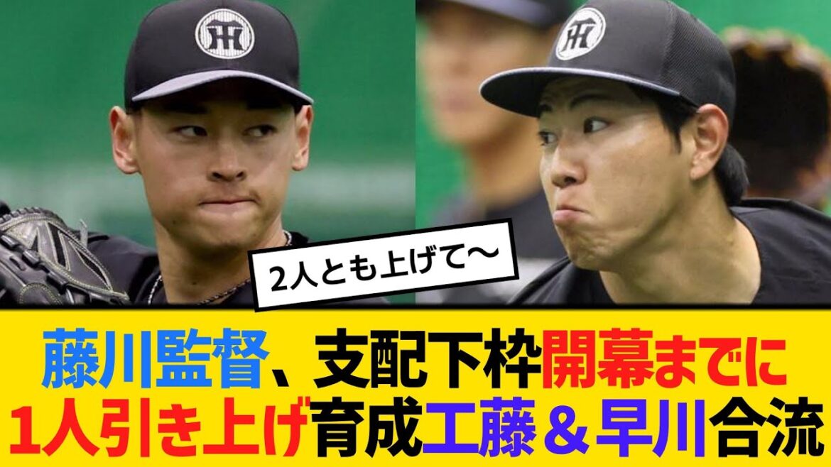阪神・藤川監督、支配下枠開幕までに1人引き上げ　育成1位工藤泰成＆育成3位早川太貴が1軍合流　【ネットの反応】【反応集】