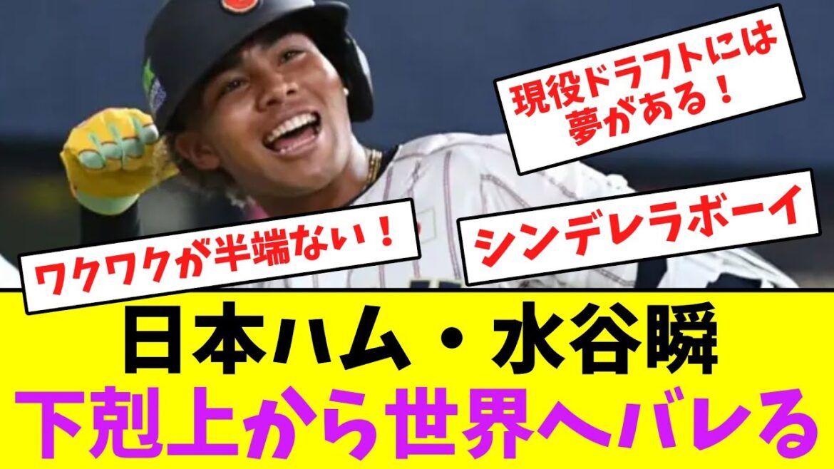 日本ハム・水谷瞬、下剋上から世界へバレる【なんJなんG】【2ch5ch】