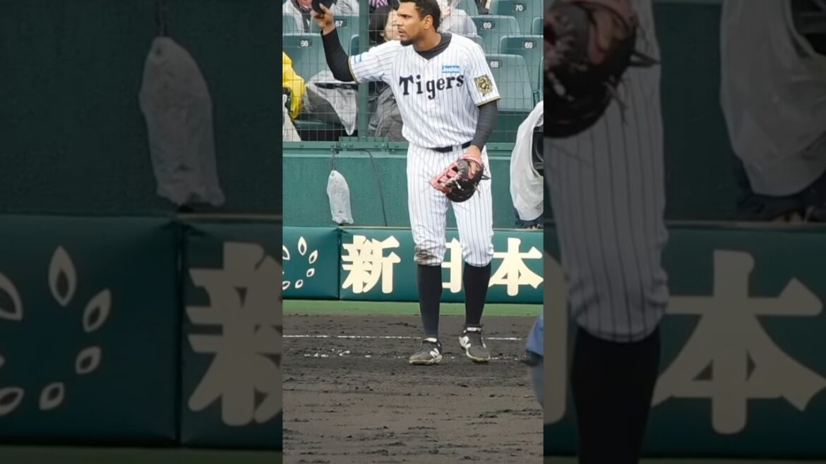 【甲子園で初打点】タイムリーを放ちファンの歓声に応えるラモン・ヘルナンデス