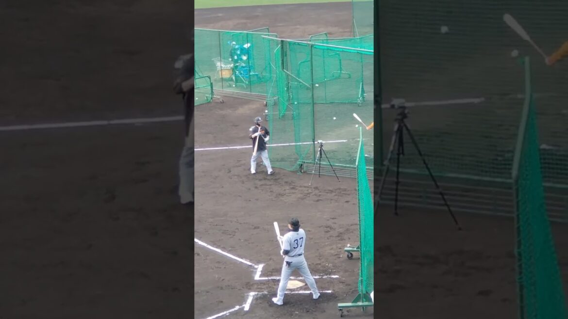 巨人軍 #郡拓也 選手のバント練習　宮崎春季キャンプ2025