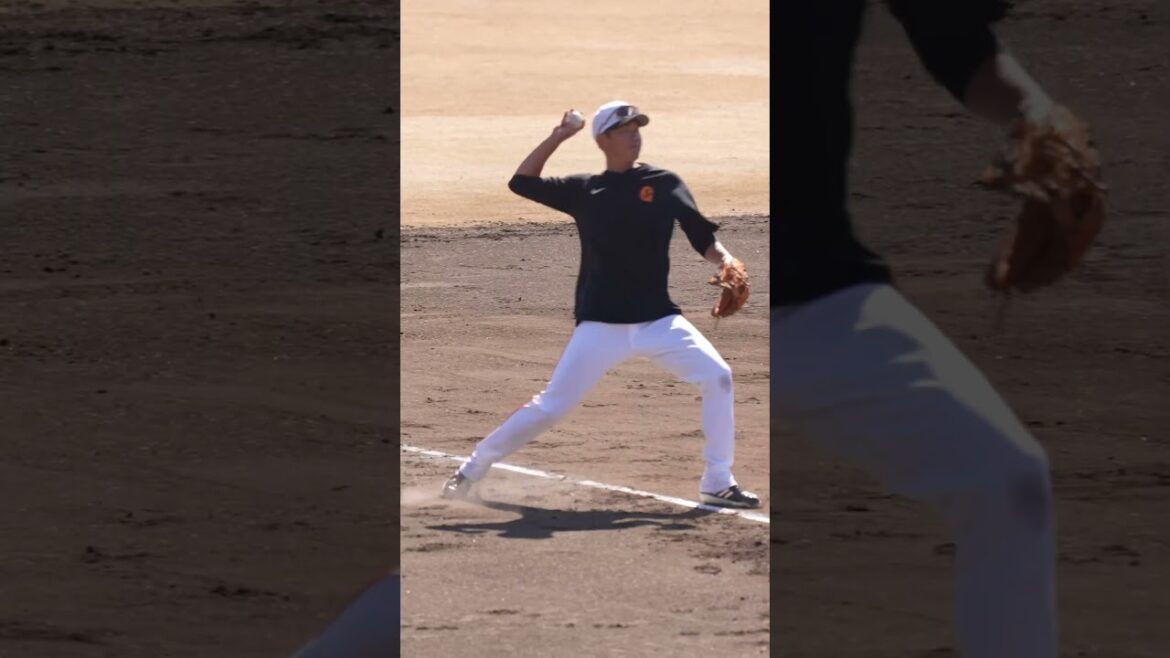 【巨人】吉川尚輝・坂本勇人・門脇誠・岡本和真選手の守備練習【一軍練習日】　#shorts #baseball #sports #ジャイアンツ #巨人 #プロ野球