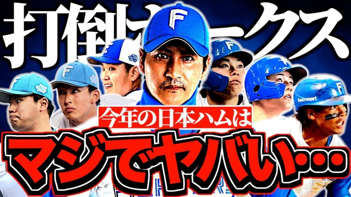 【集大成】北海道日本ハムファイターズの2025年を徹底解説