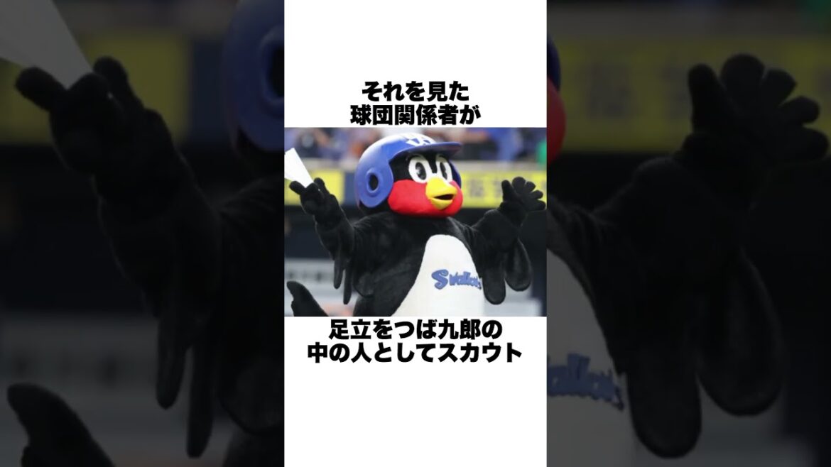「つば九郎の中の人」足立歩に関する雑学 #野球解説 #プロ野球 #東京ヤクルトスワローズ