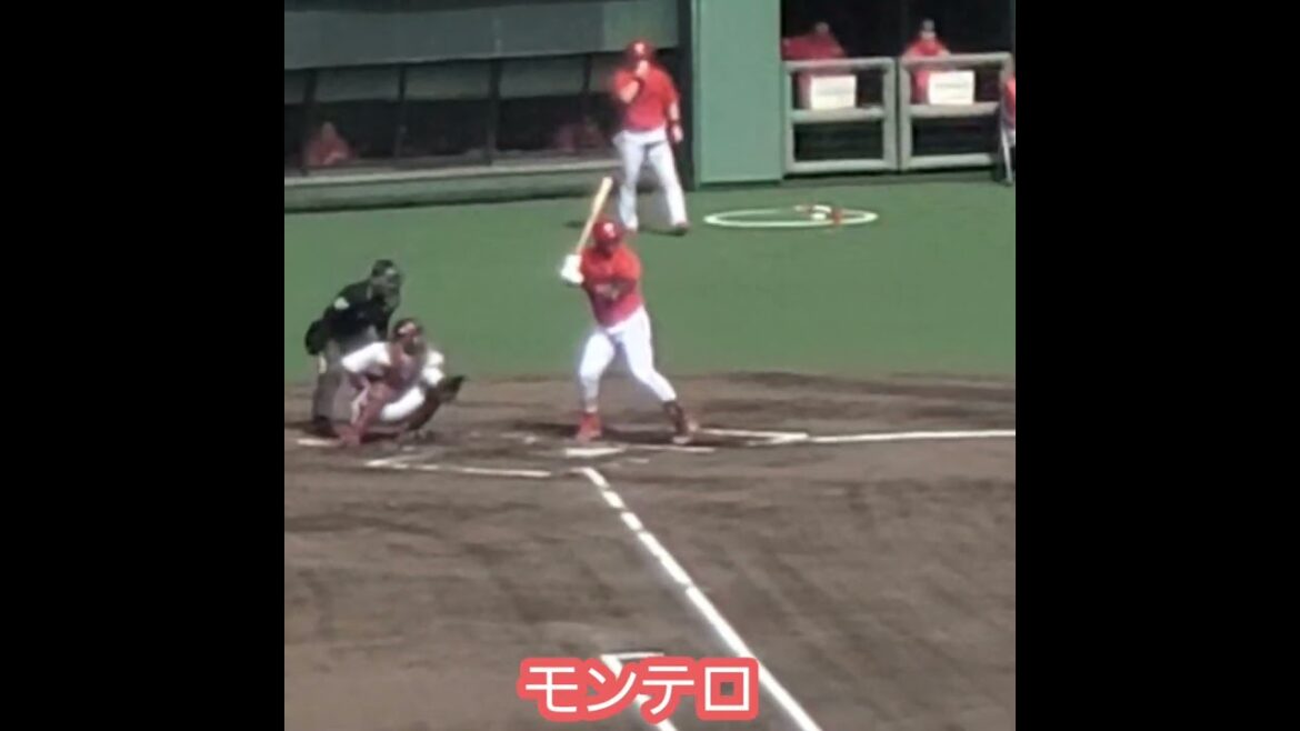 20250301　新外国人ｴﾚﾌﾘｽ･ﾓﾝﾃﾛ　打撃フォーム　#shorts　広島東洋カープ@岡山 倉敷ﾏｽｶｯﾄｽﾀｼﾞｱﾑ･外野ﾗｲﾄ ｵｰﾌﾟﾝ戦
