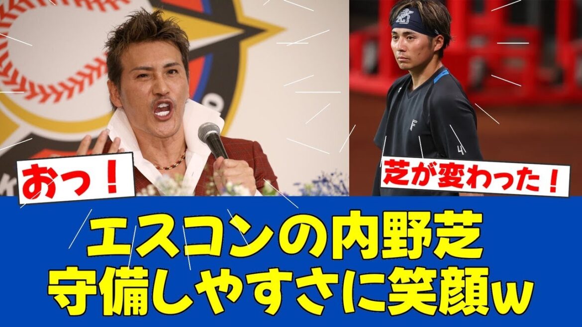 【朗報】日ハム本拠地エスコン、内野人工芝化で守備向上へ！【日ハムファンの反応】【F速報】