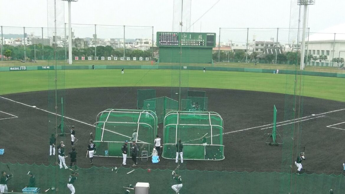 千葉ロッテマリーンズ・春季キャンプ フリーバッティング 【7】藤岡 裕大内野手【51】山口 航輝外野手【10】上田 希由翔内野手 2025.2.23 千葉ロッテマリーンズ・春季キャンプ フリーバッティング 【7】藤岡 裕大内野手【51】山口 航輝外野手【10】上田 希由翔内野手 2025.2.23