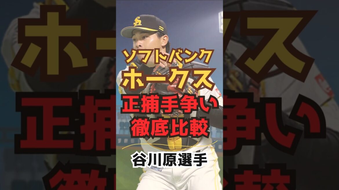 【ホークス】正捕手を勝ち取るのは誰だ！？正捕手争いを徹底比較！！谷川原編！！#海野 #嶺井 #谷川原 #渡邉【ゆっくり解説】