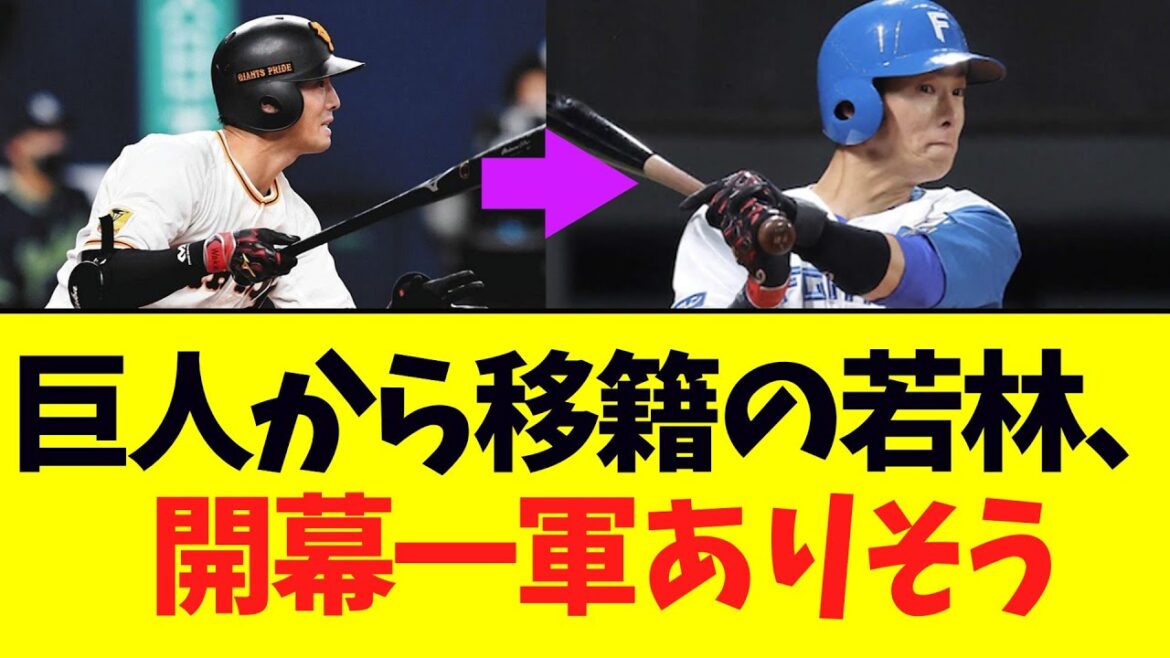 【朗報】巨人から移籍2年目の若林晃弘、開幕一軍ありそう！