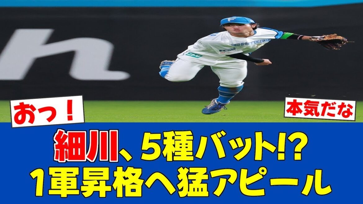 【夢中】細川凌平、5種類のバットで打撃感覚磨く！稲葉2軍監督も高評価【日ハムファンの反応】【F速報】