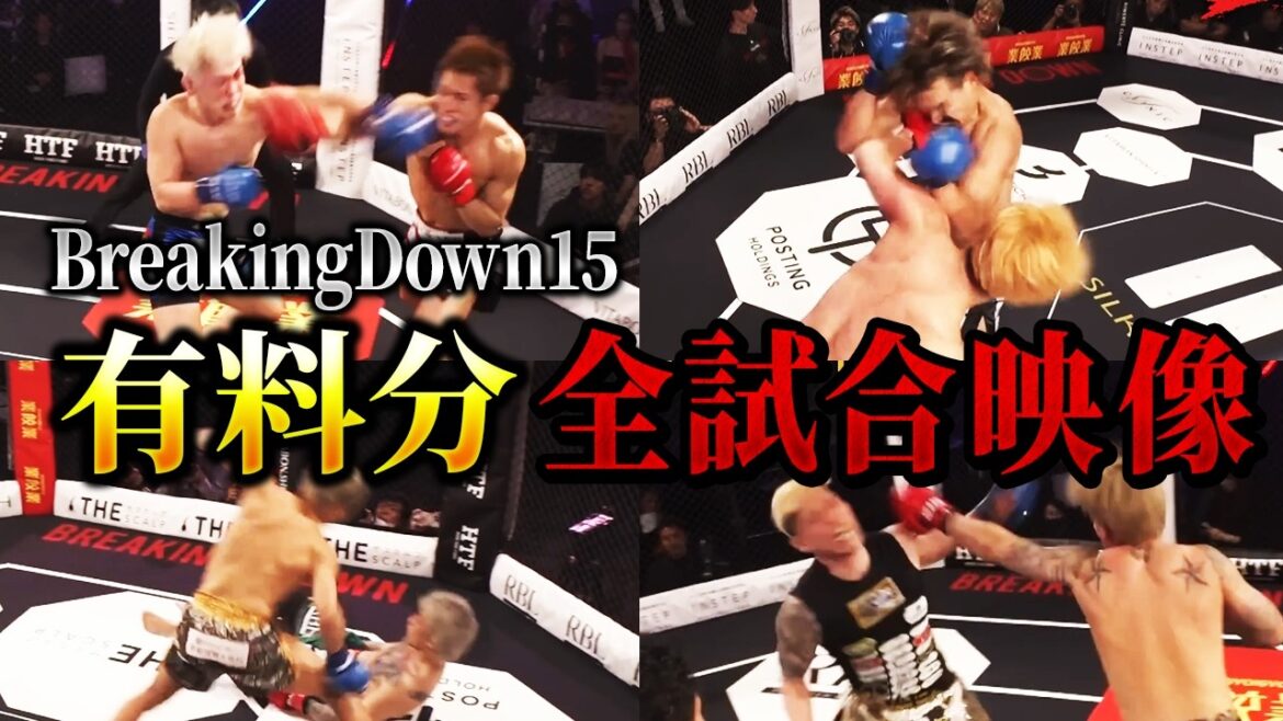 【有料分含む】ブレイキングダウン15全試合映像を集めてみた【朝倉未来/朝倉海/切り抜き】