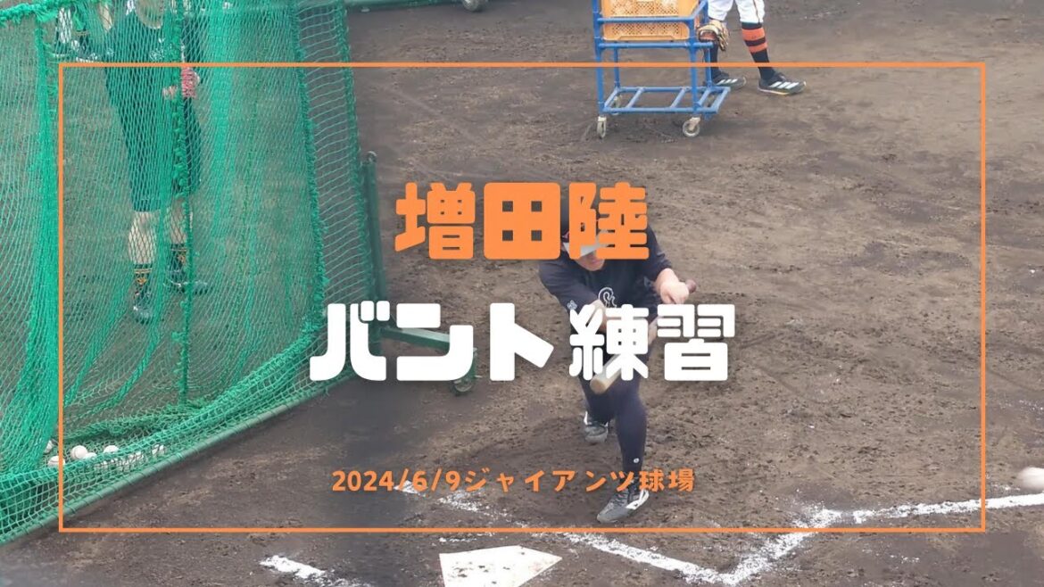 増田陸 バント練習 2024/6/9