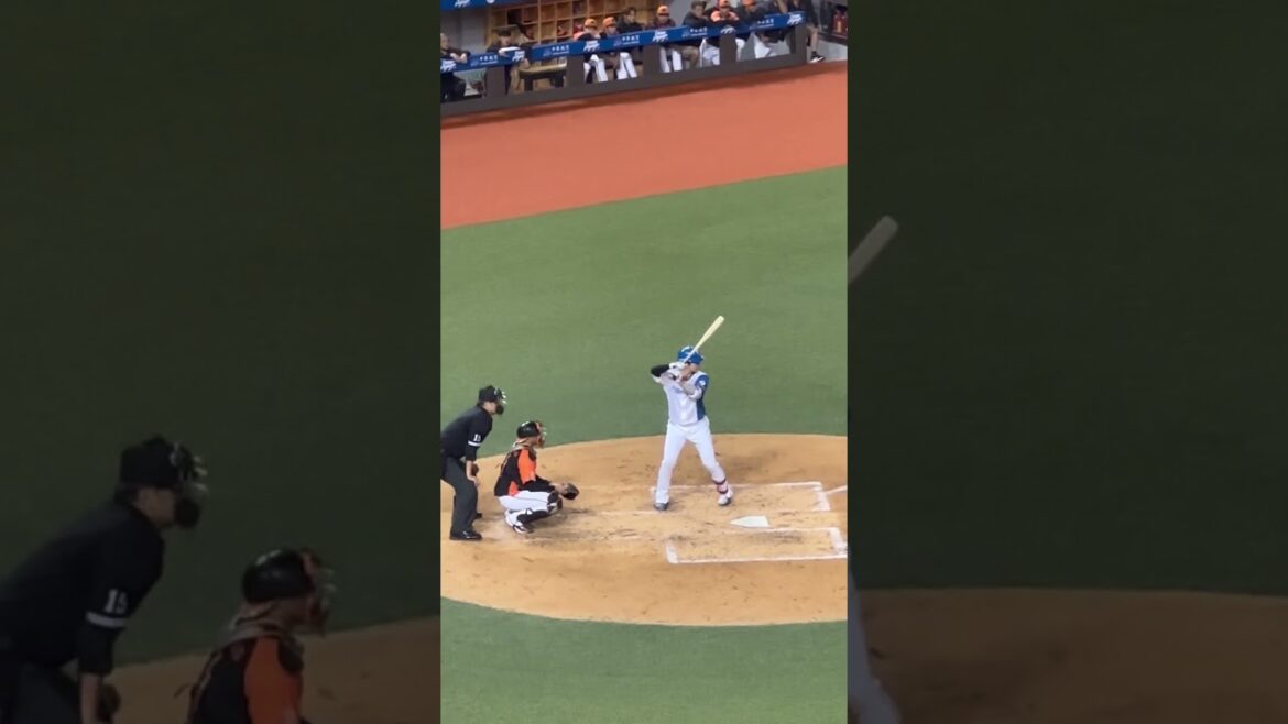 2025年3月1日 台北大巨蛋 火腿交流賽 清水優心 應援曲