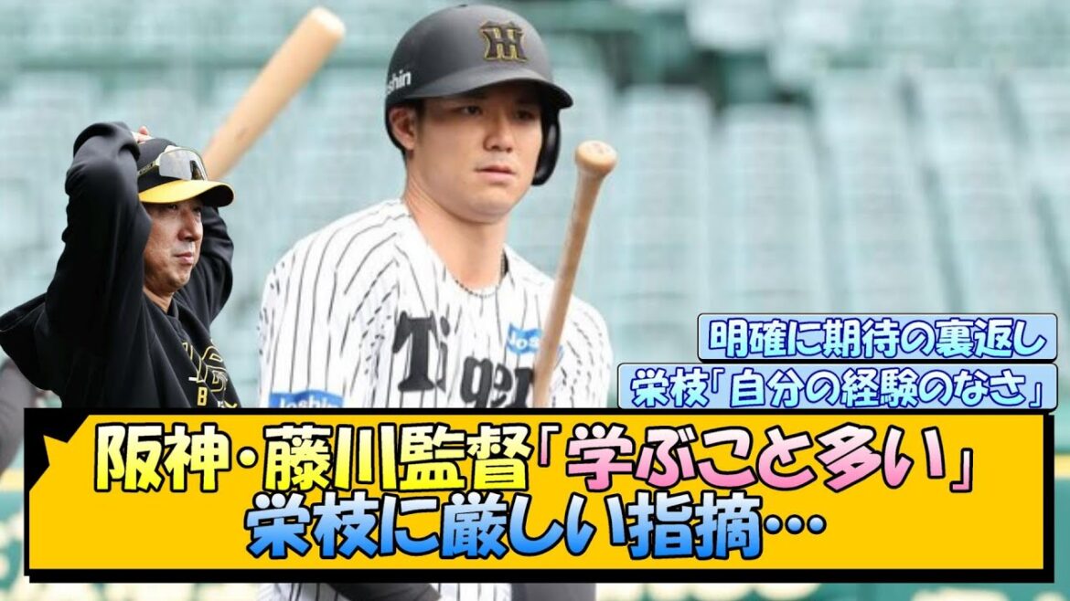 【阪神】藤川監督「学ぶこと多い」栄枝に厳しい指摘…【なんJ/2ch/5ch/ネット 反応 まとめ/阪神タイガース/藤川球児/プロ野球】