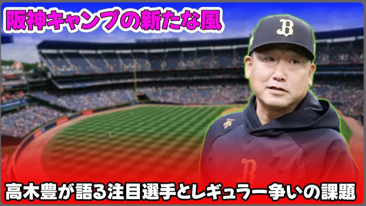 【野球】「阪神キャンプの新たな風！高木豊が語る注目選手とレギュラー争いの課題」 #高木豊, #藤川球児, #高寺望夢, #藤田健斗, #阪神タイガース,