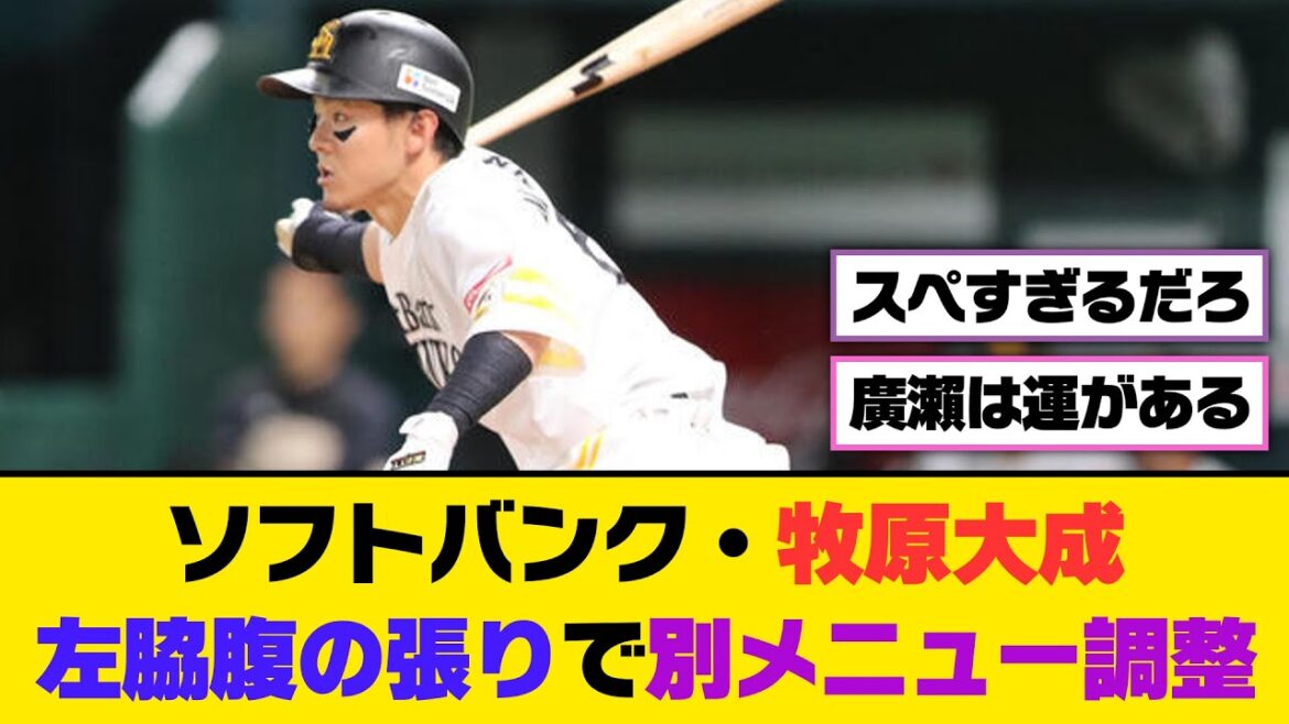ソフトバンク・牧原大成、左脇腹の張りで別メニュー調整【5ch/2ch】【なんj/なんg】【反応集】