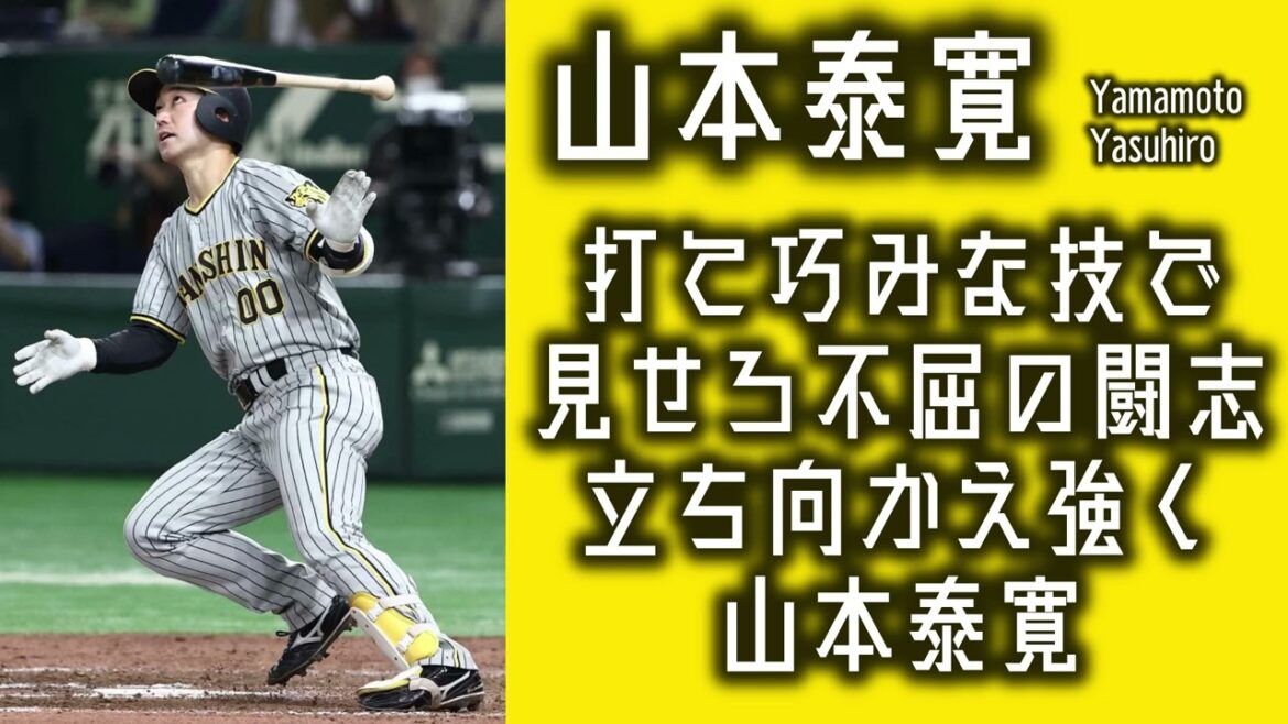 【作業用】山本泰寛応援歌30分耐久【阪神】