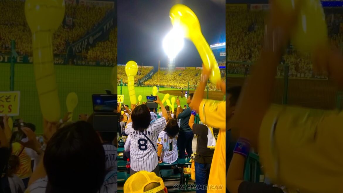 この日以来のジェット風船🎈鳥谷敬が阪神在籍最後の試合