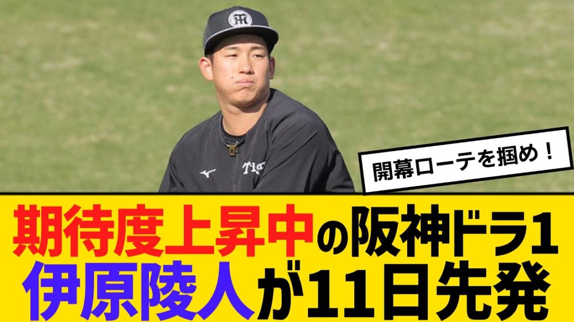 期待度上昇中の阪神ドラ1・伊原陵人が11日先発　【ネットの反応】【反応集】