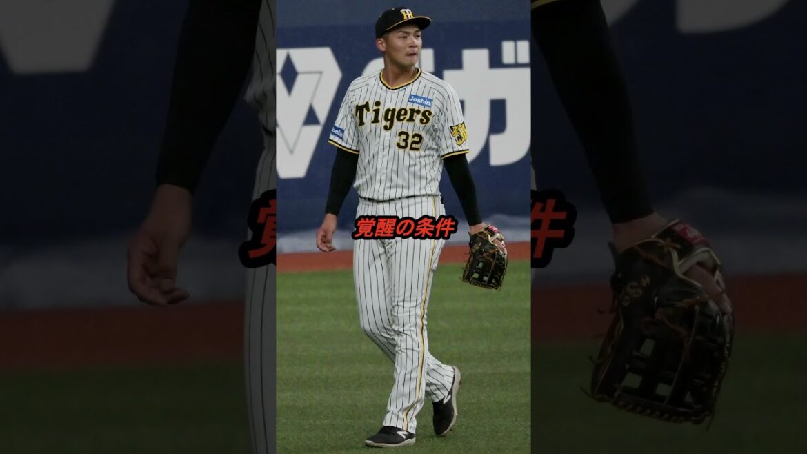 井上広大選手は2025年覚醒確定？！  #プロ野球 #阪神タイガース #野球