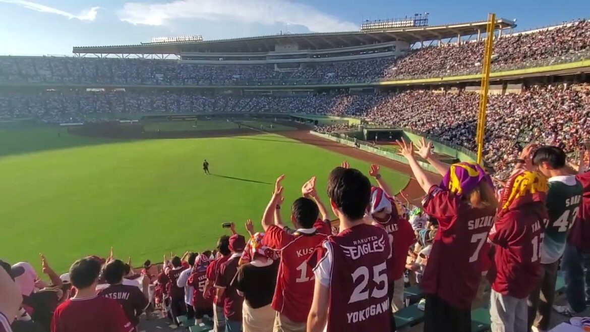 20240721　ｺﾞｰｺﾞｰ♪【小郷裕哉　専用コール】　6回表　東北楽天ｺﾞｰﾙﾃﾞﾝｲｰｸﾞﾙｽ@ほっともっとﾌｨｰﾙﾄﾞ神戸･ﾚﾌﾄ外野