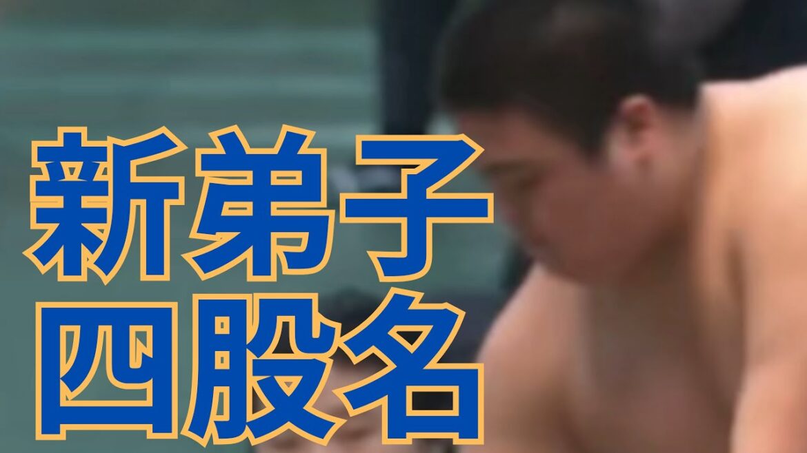なぜ駿太？四股名を解説（ご質問いただいた内容）#相撲 #sumo