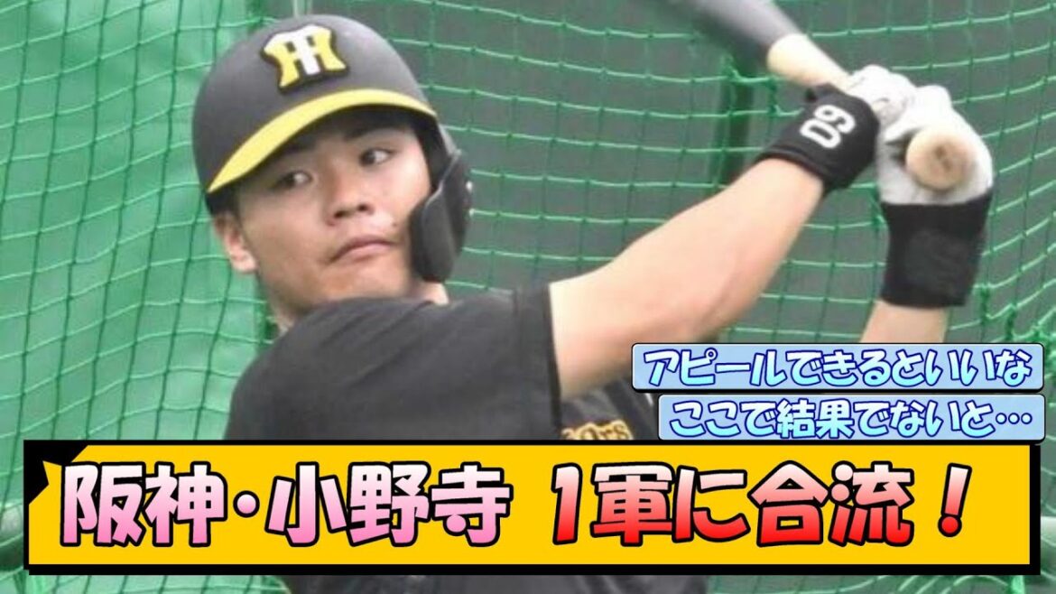 阪神・小野寺　1軍に合流！【なんJ/2ch/5ch/ネット 反応 まとめ/阪神タイガース/藤川球児/プロ野球】