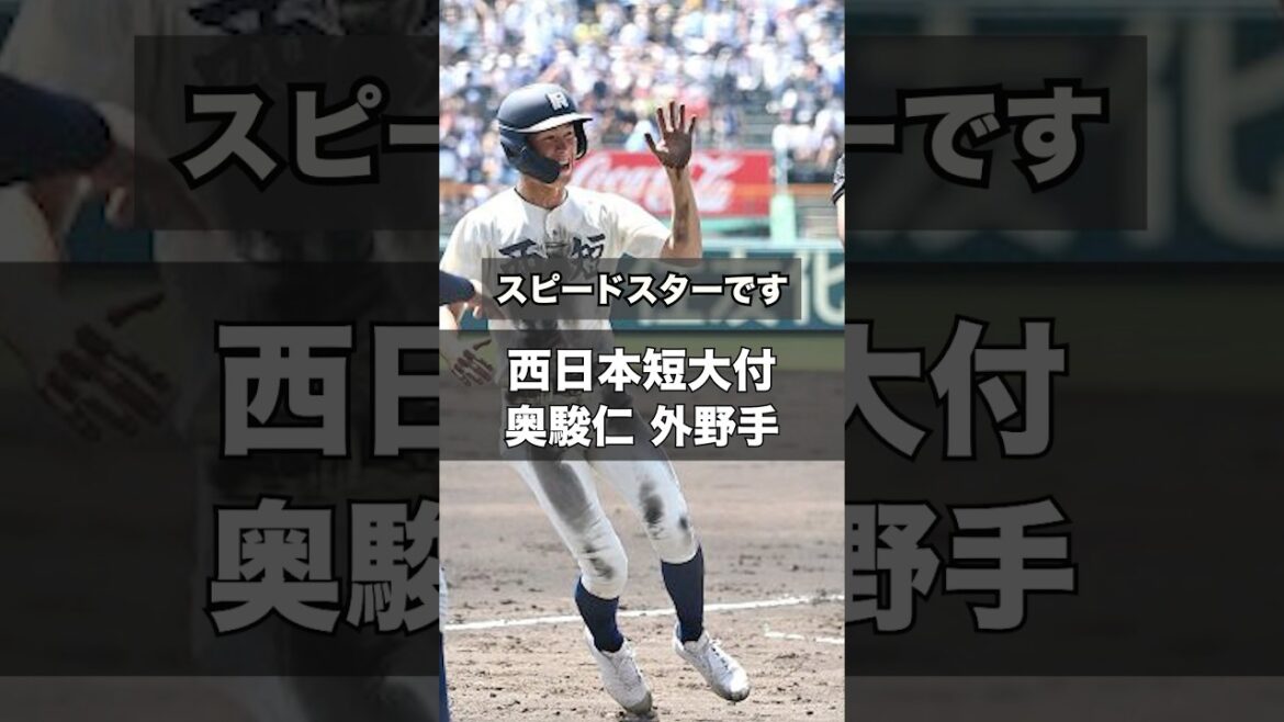 【阪神タイガース】2025年 ドラフト候補！ ＜西日本短大付属＞奥駿仁 外野手 九州のスピードスター！春の選抜大会注目選手！未来の1番バッター候補だ！#shorts #阪神タイガース #高校野球
