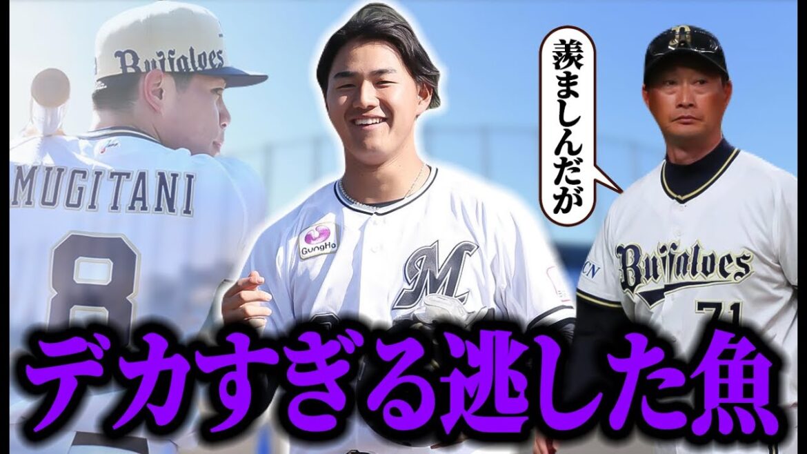 若手のアピールがすごく寂しい。【オリックス】