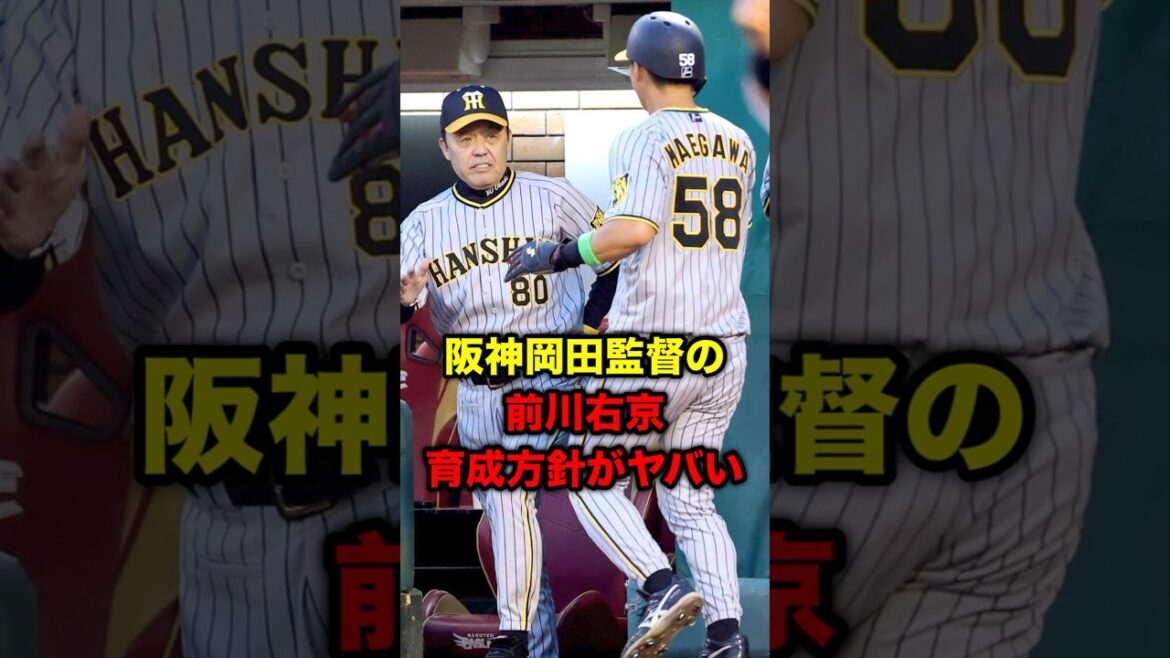 阪神岡田監督の前川右京、育成方針がヤバい #岡田彰布 #どんでん #阪神タイガース #野球 #雑学