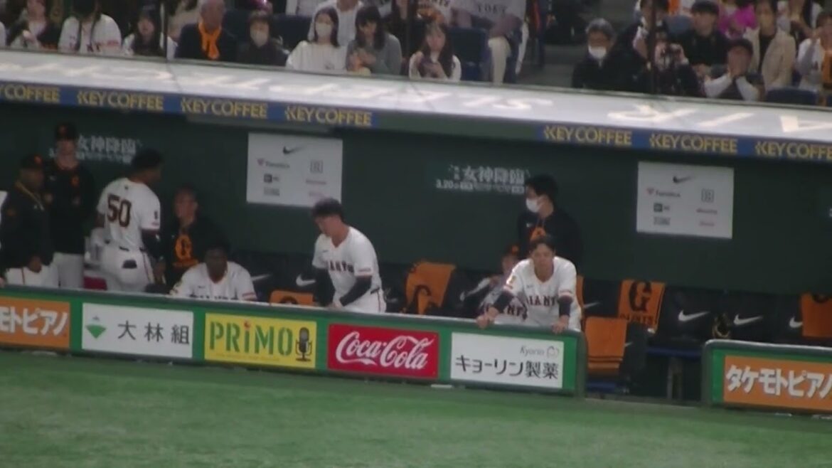 チャンスで門脇誠の打席を見るベンチの岡田悠希や中山礼都の様子【読売ジャイアンツ対 ヤクルトスワローズ 2025年3月2日】