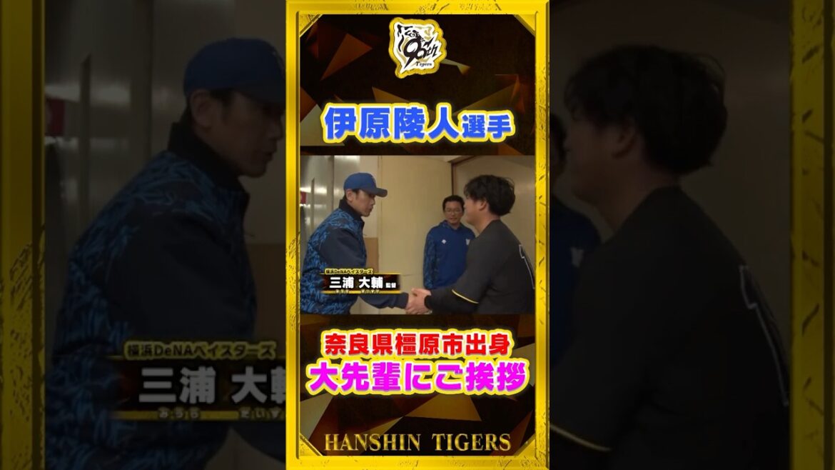【レジェンド】#伊原陵人 選手が緊張の面持ちで待っているのは…同郷の奈良県橿原市出身#DeNAベイスターズ #三浦大輔 監督！#shorts