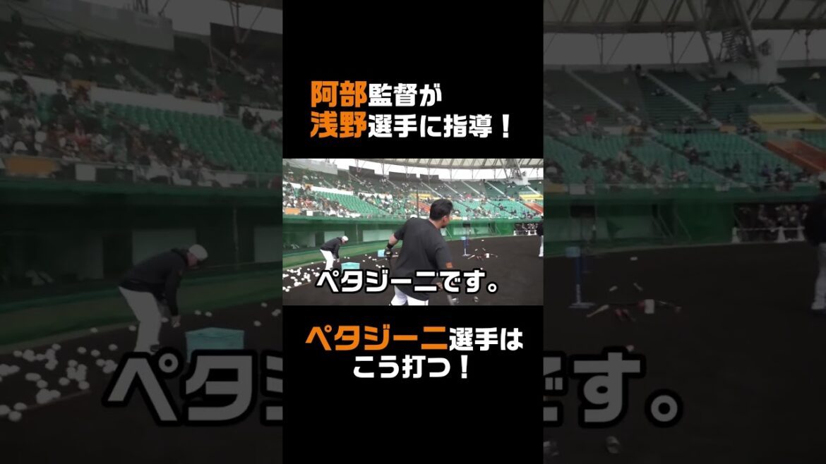 阿部監督が浅野に指導！「ペタジーニ選手はこう打つ！」
