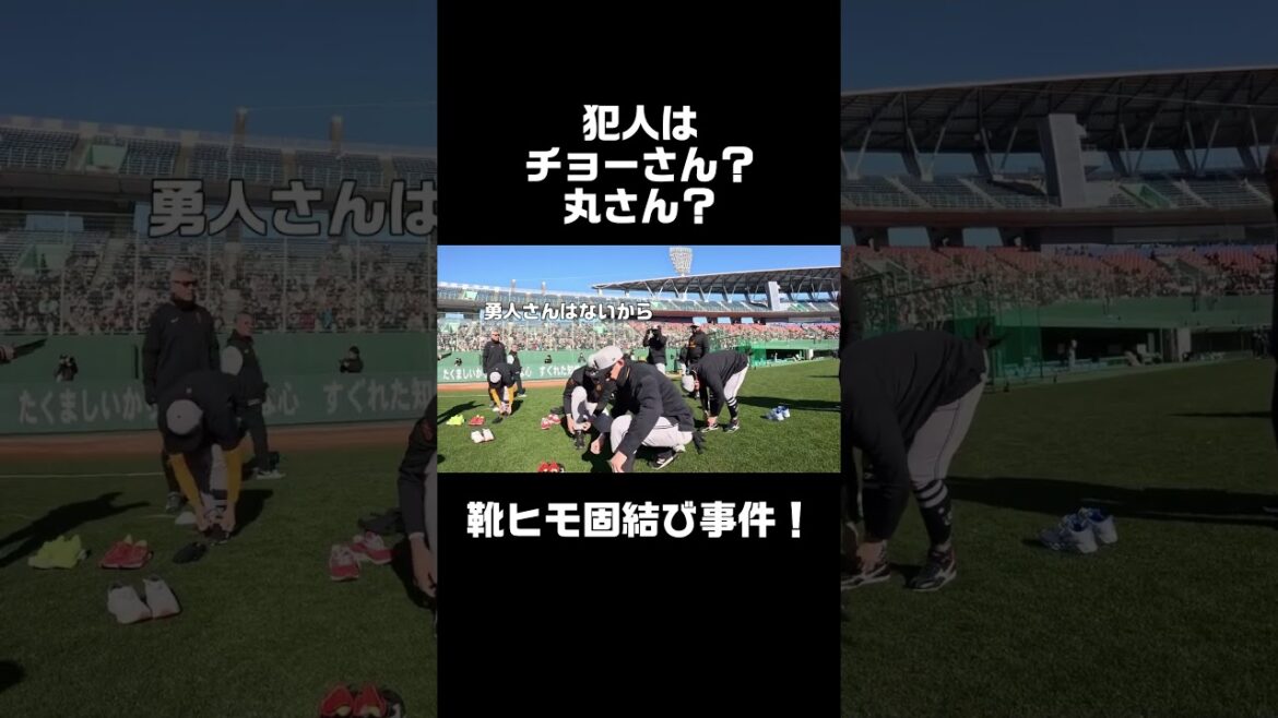 犯人はチョーさん？丸さん？靴ヒモ固結び事件！ #shorts