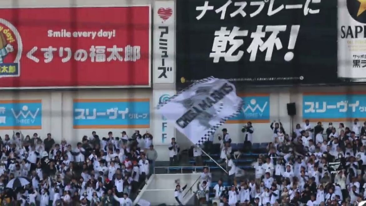 千葉ロッテマリーンズ 好きだぜロッテ(夢花火) ZOZOマリンスタジアム リポビタンシート