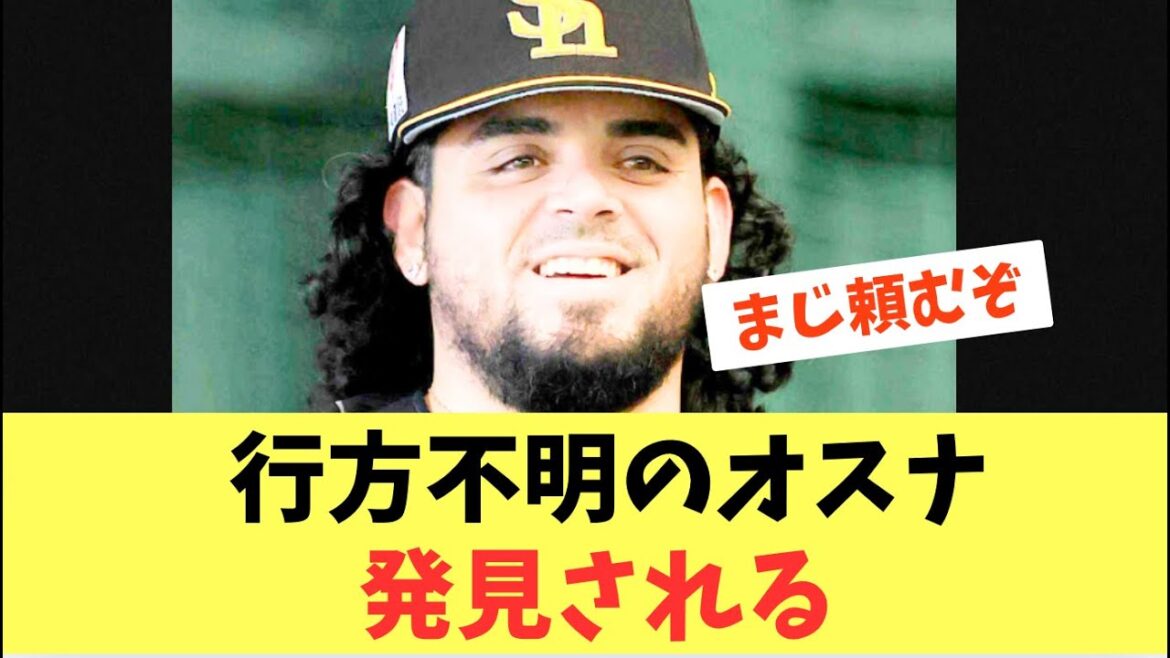 【朗報】行方不明のオスナが発見される！ようやく初登板予定