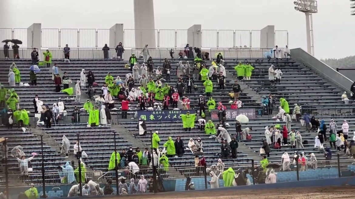【茂木コール有り】東京ヤクルトスワローズ 茂木栄五郎 応援歌 静岡草薙球場