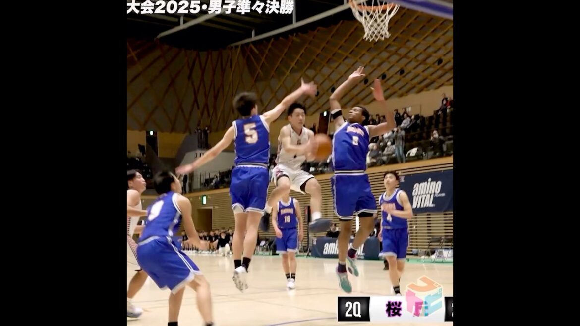 愛知王者･桜丘 スタメン1年生コンビが57得点✨2人で躍動 No.1竹内光一( 1年 | 165cm) No.13前田晴舞(1年 | 172cm)[東海新人大会2025] #高校バスケ #shorts