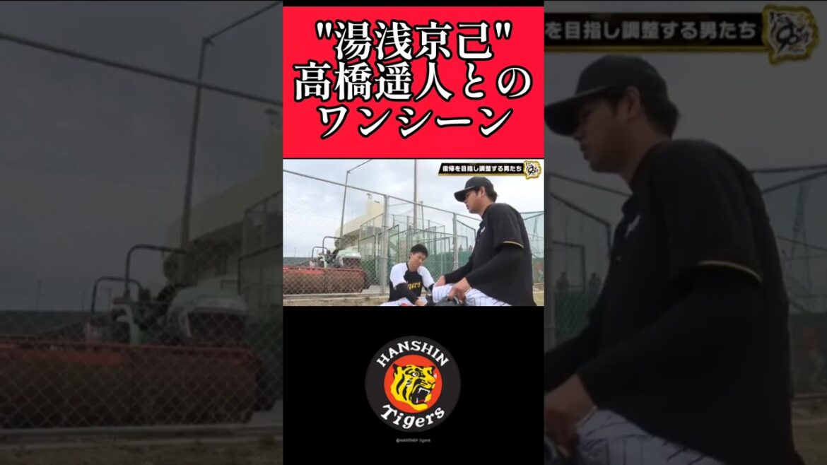 【阪神】湯浅京己と高橋遥人の日常！ #阪神 #阪神タイガース #高橋遥人 #湯浅京己 #shorts