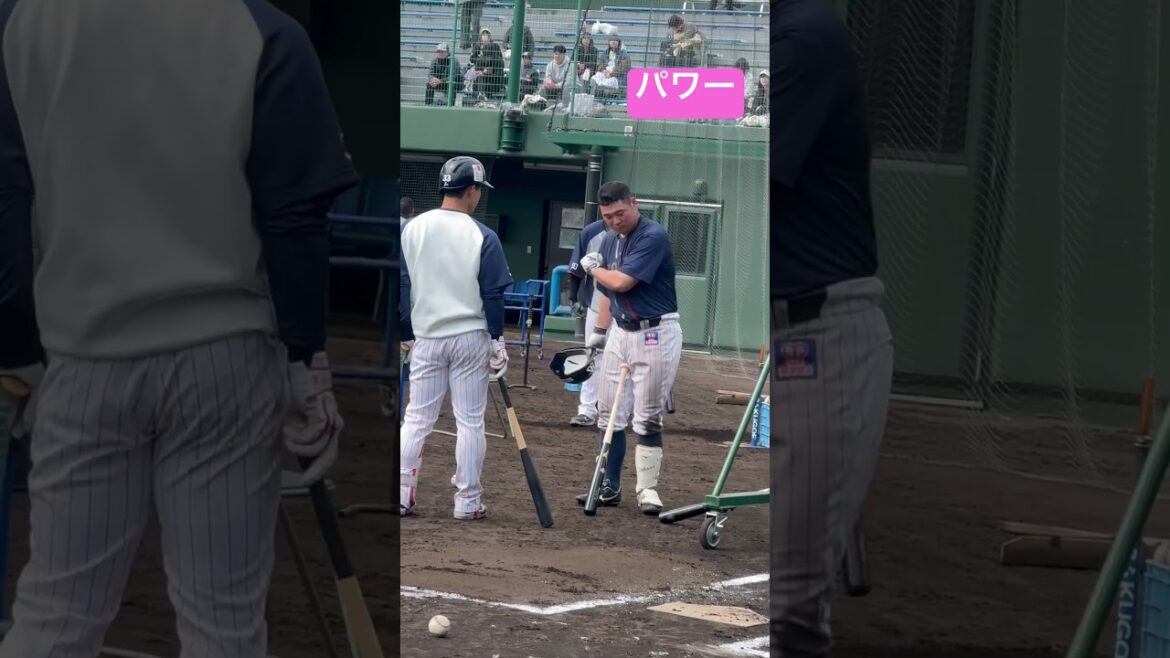 内山壮真選手とパワー！ヤクルトスワローズキャンプ