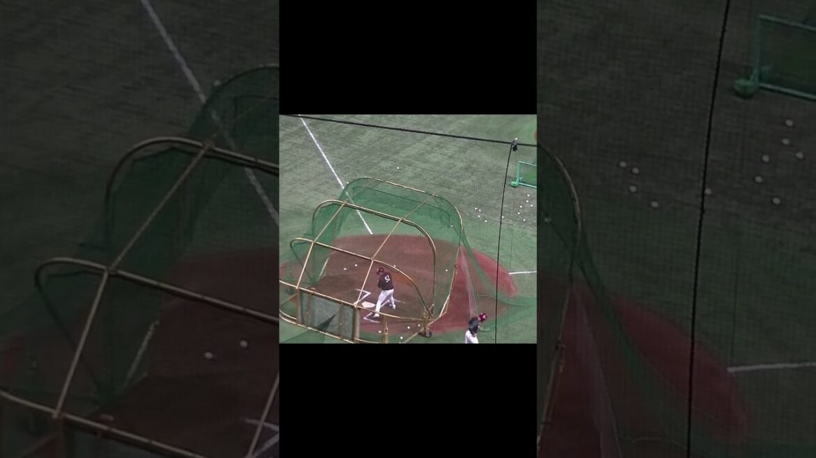 【楽天】小郷裕哉のフリーバッティング＜読売ジャイアンツ対 楽天イーグルス 2024年3月22日 試合前＞