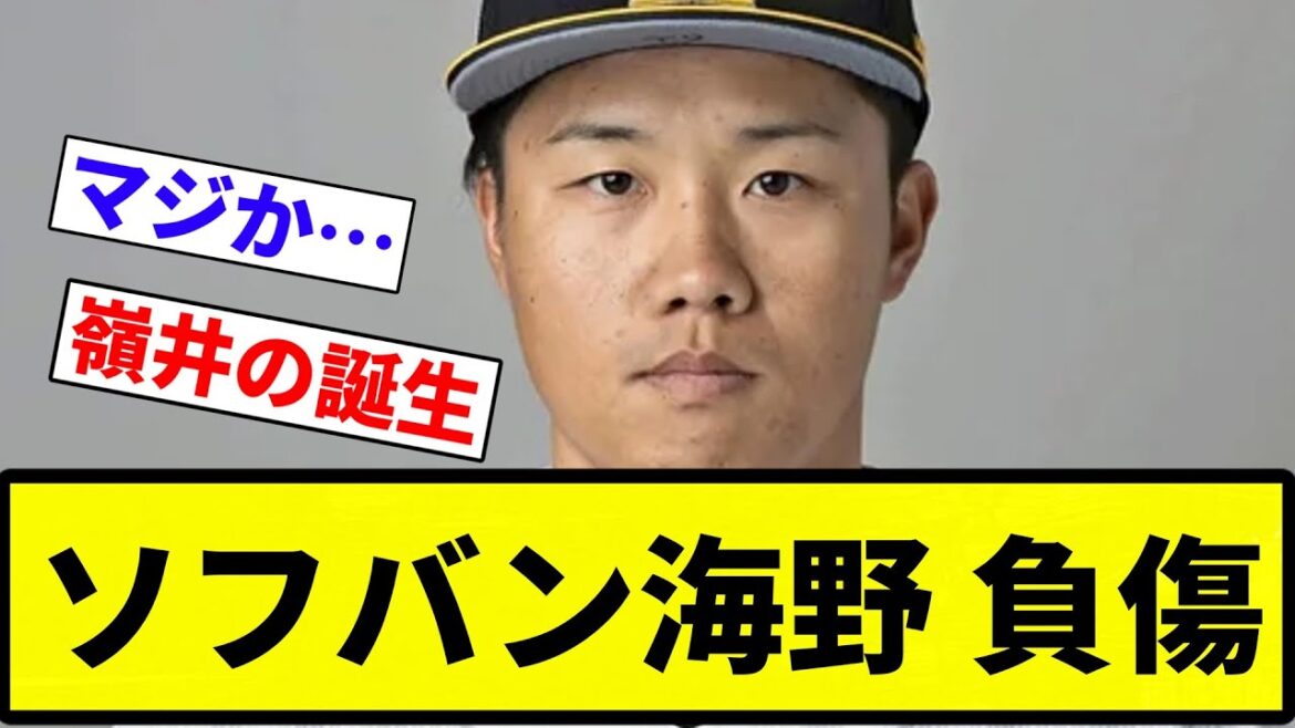 【けが人多すぎだろ...(bgm変更ver)】ソフバン海野 負傷【プロ野球反応集】【2chスレ】【なんG】
