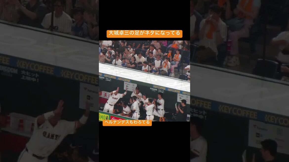 【ジャイアンツベンチ】大城卓三のホームインのリプレイ判定がセーフで盛り上がりまくる岡本和真など選手たち（ 読売ジャイアンツ対横浜DeNAベイスターズ 2024年7月13日）