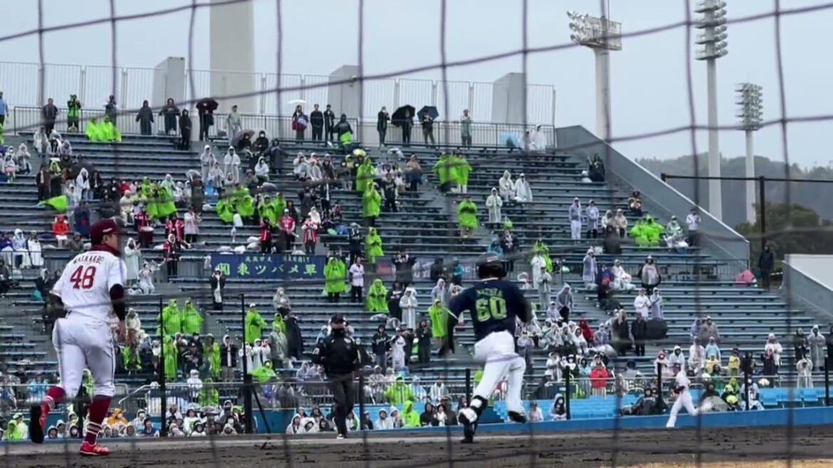 ヤクルト 武岡龍世 応援歌〜出塁・進塁のテーマ（We Are The Swallows）静岡草薙球場
