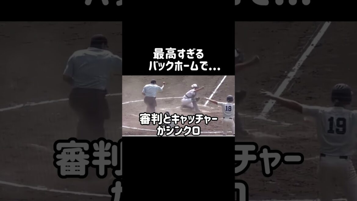 最高すぎるバックホーム！#シンクロ#審判#高校野球