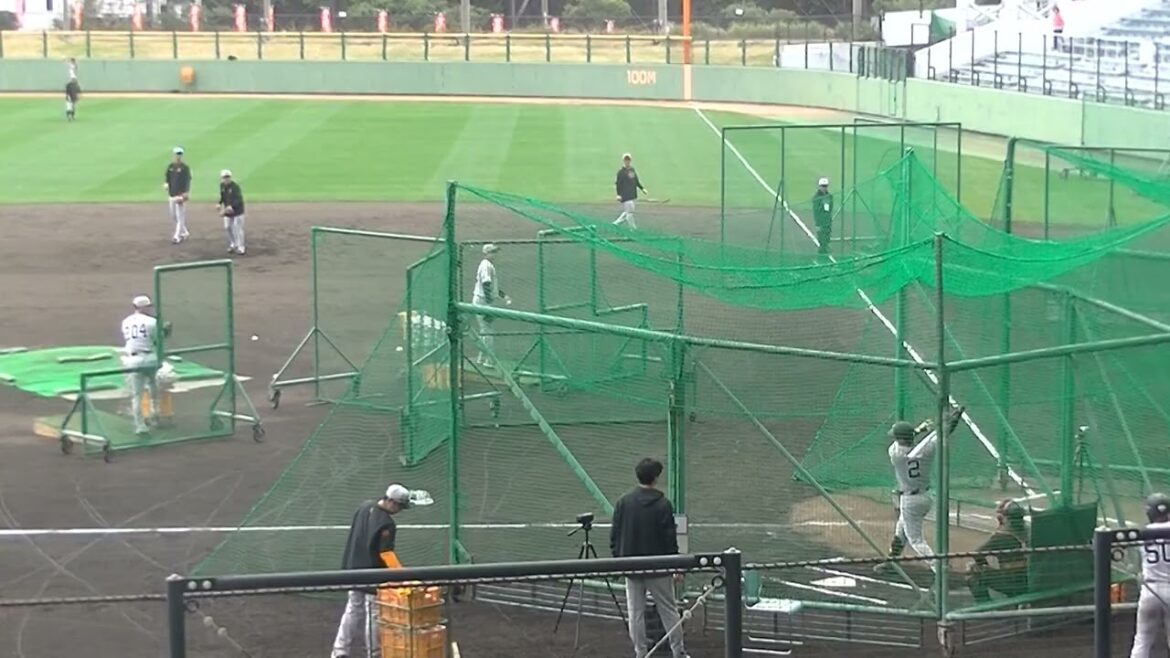 吉川尚輝フリーバッティング 2025年2月20日 読売ジャイアンツ沖縄キャンプ