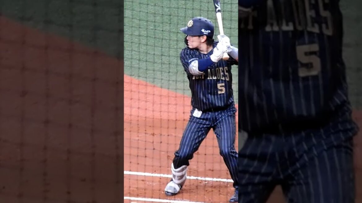 20240922西野真弘選手#オリックスバファローズ #西野真弘