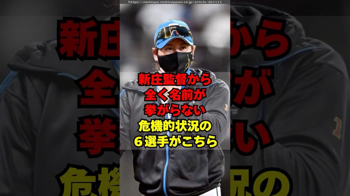 【日ハム】新庄監督からの評価があまりに厳しい６選手