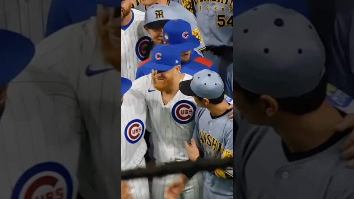 【試合後はノーサイド】カブスナインと入り乱れて写真撮影・談笑する阪神ナイン 【試合後はノーサイド】カブスナインと入り乱れて写真撮影・談笑する阪神ナイン