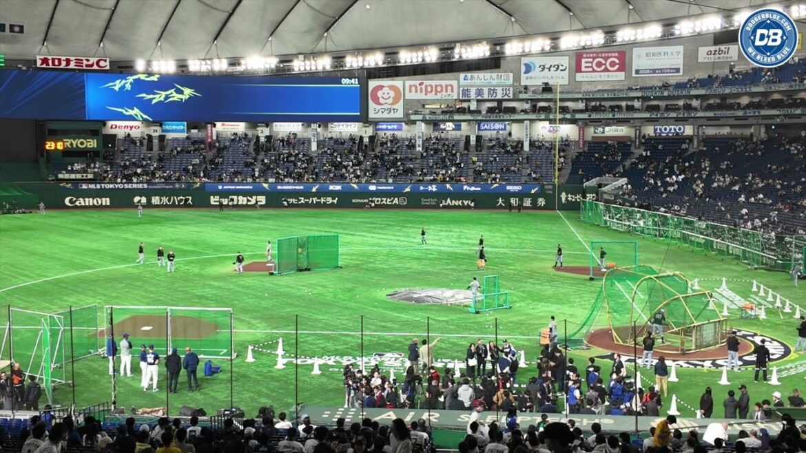 東京シリーズ: 阪神タイガース、ドジャースとのエキシビションを前にバッティング練習 (Hanshin Tigers BP before Tokyo Series game vs. Dodgers) 東京シリーズ: 阪神タイガース、ドジャースとのエキシビションを前にバッティング練習 (Hanshin Tigers BP before Tokyo Series game vs. Dodgers)