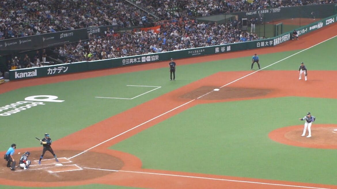 日本ハム 水谷瞬 デッドボール　西武 vs 日本ハム　2024年9月1日(日) ベルーナドーム